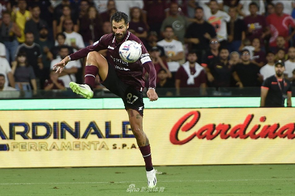 都意味着极 都意味着极