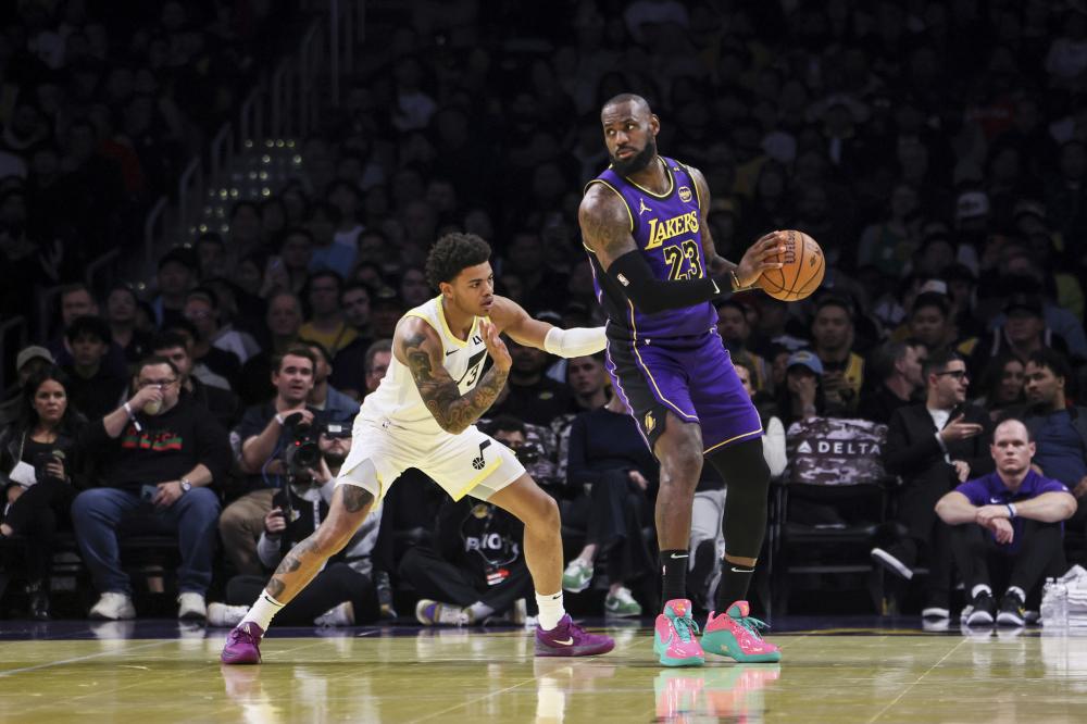 家中养的一 家中养的一